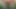 Nude masturbating in public grassland at cruising spot. Naked fapping in sight of the main path until I cum. Tobi00815