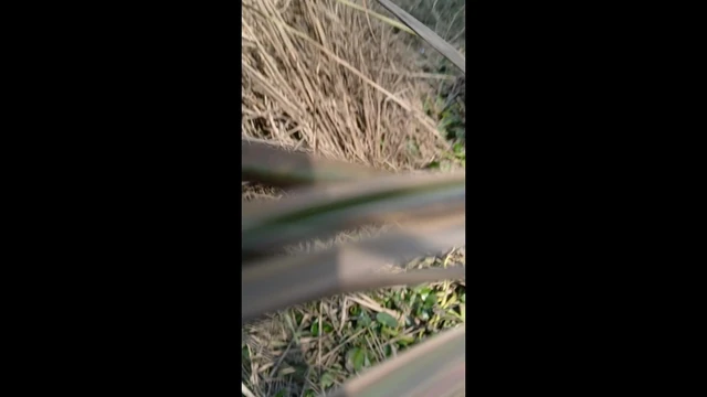 Indian Village Outdoor Highway Road side sex 2023
