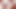 Submissive Trans Redhead Gives a Sloppy Blowjob Her Dommy Redhead Trans Girlfriend