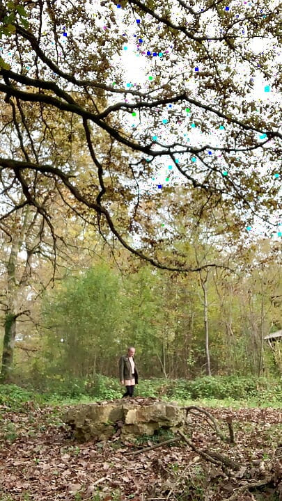 Walk in the forest