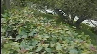 DEUTSCHLAND PORNO TV - our best full movie