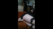 Pregled videozapisa