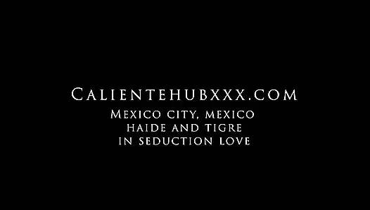 Hayde ve Tigre The Encounter