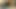 Karını hamile bırakıyoruz ama sen onun sadık olduğunu düşünüyorsun! haha