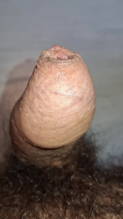 My hairy cock