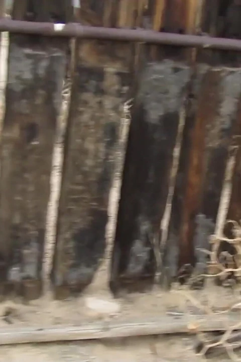 Desert Cow Pen Cum 3