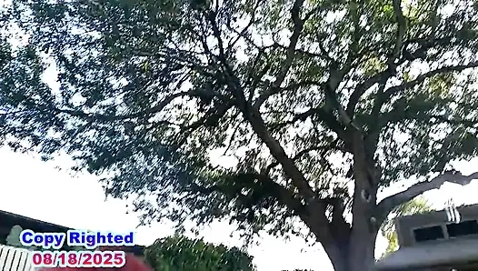 Мокрое дикое развлечение на солнце, полное видео