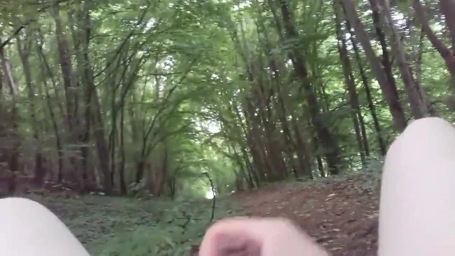 Made at the edge of the woods