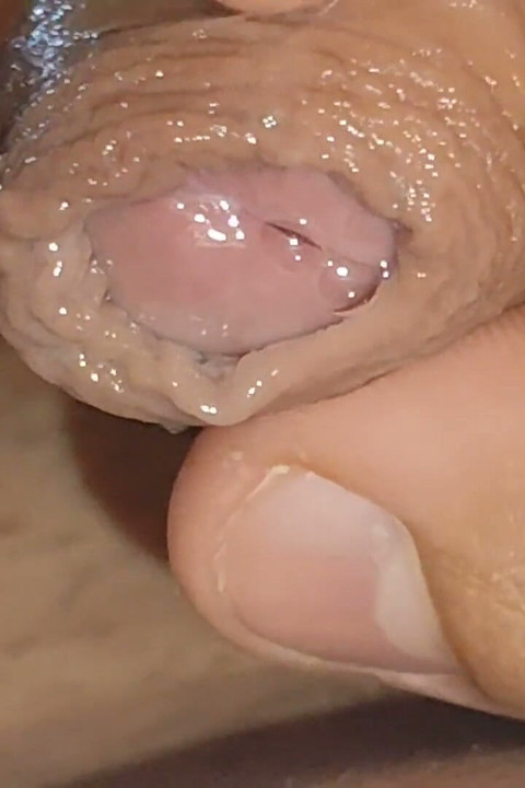 Urethral Fluid in Large Quantities Makes It Slippery.