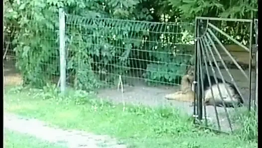 Alman Kapılarının Arkasında Özenle Siktir Edilir - Tam Film