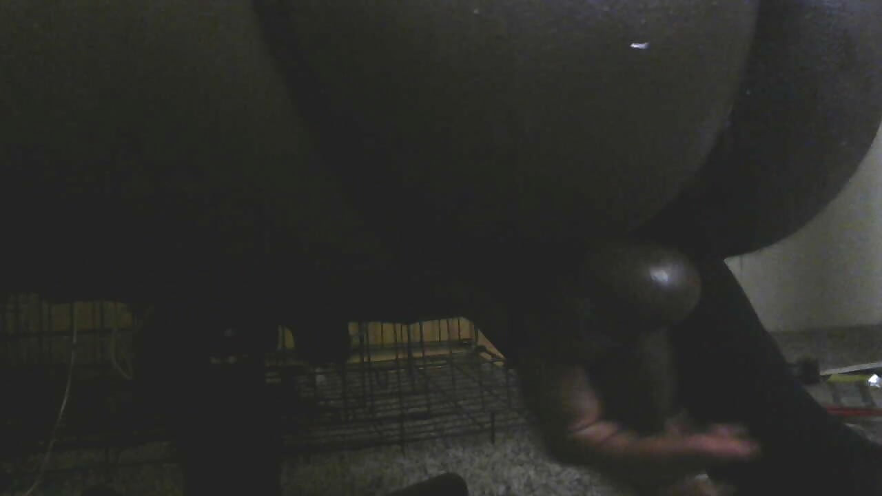 Knulla in den här rumpan!