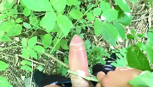 Ağacı mastürbasyon oyuncağı gibi kullanma