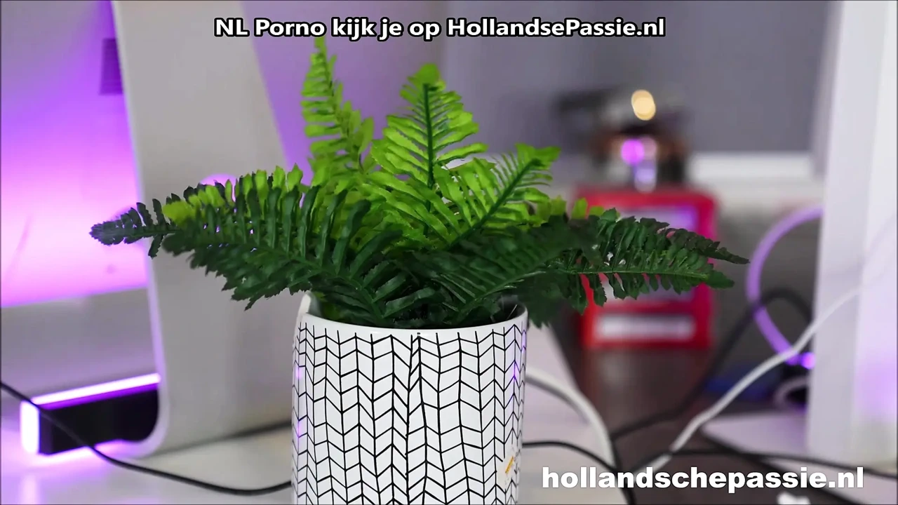 Làm việc muộn với ngôi sao khiêu dâm Hà Lan Ivey