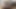 誘惑的なレズビアンたちが一緒におもちゃを共有する