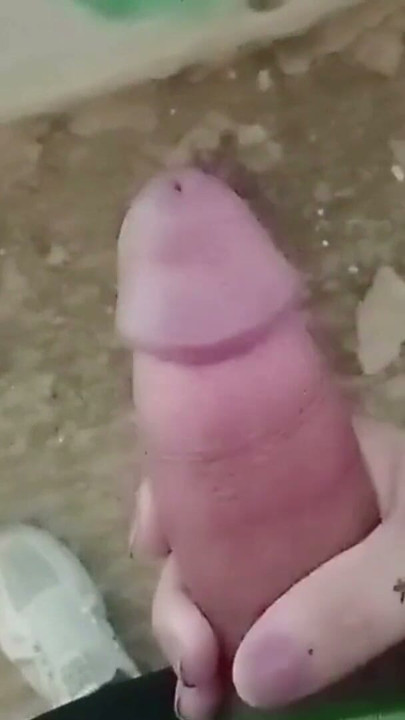 My handjob compilation 2023, delicious | Clip 1