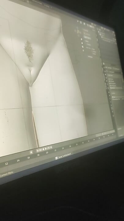 एनिमेशन सत्यापन 1