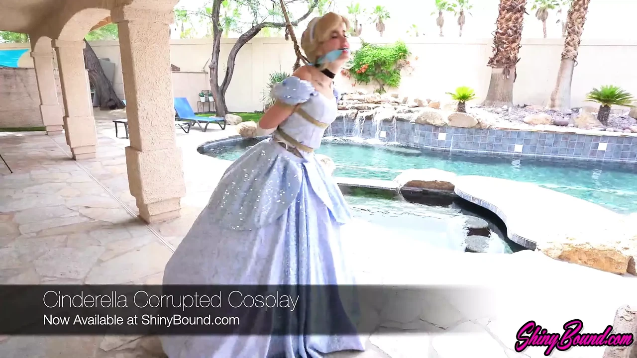 Cinderella Cosplay Bondage