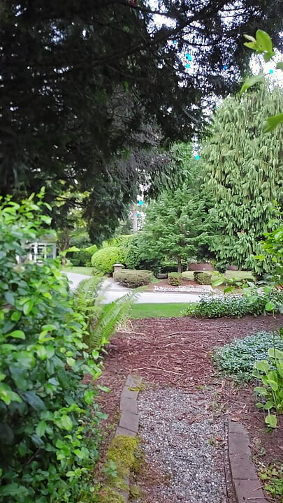 Backyard Nudity and Inside Morning Activities