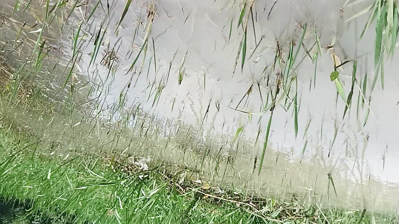 24 Year Old Naked in the Open Field  Desi Boy Shows Off Hard Cock in the Wind