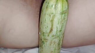 Cucumber