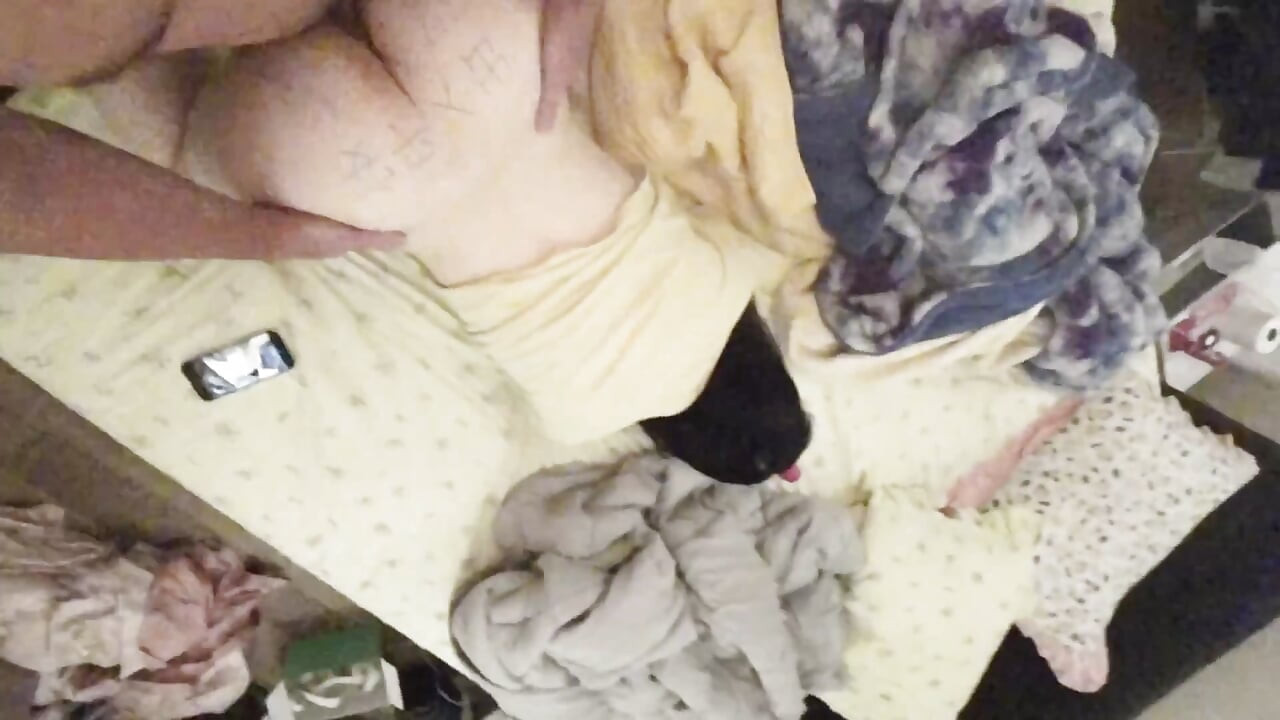 Yummy JimmyがSlutty Kittyに書き込み、バレンタインデーに彼女の中で射精!