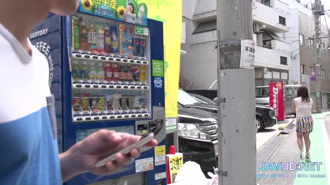 Japán ajkak és kakas vol 9