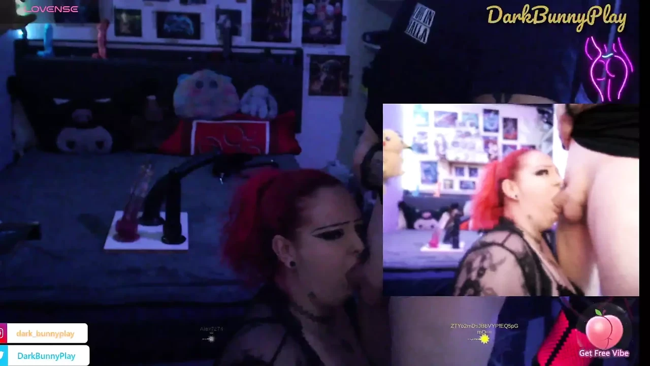 Bunny is Wild