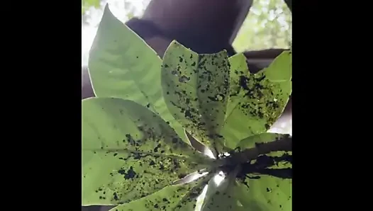 ISABELLA GEHT RAUS, UM DIE NATUR ZU GENIEßEN UND WIRD SEHR HART GEFICKT