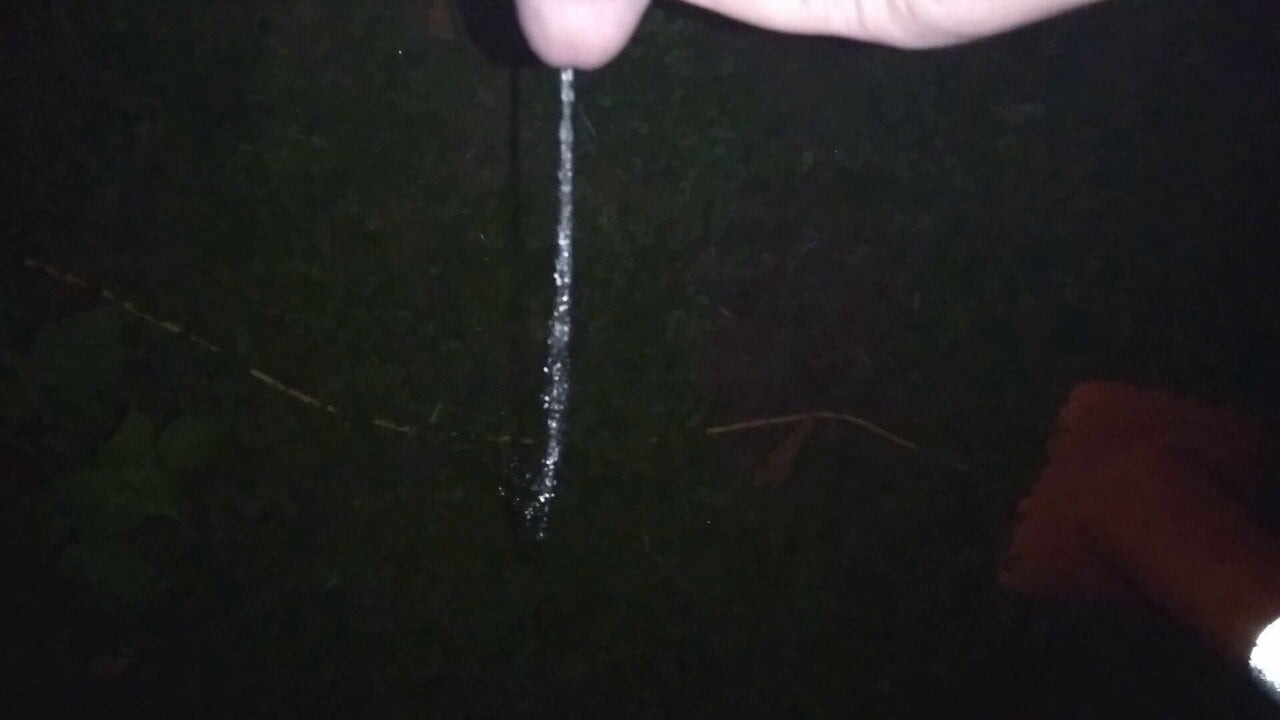 Long night piss
