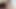 Big Dick The queen of blowjobs gives me oral sex until cum