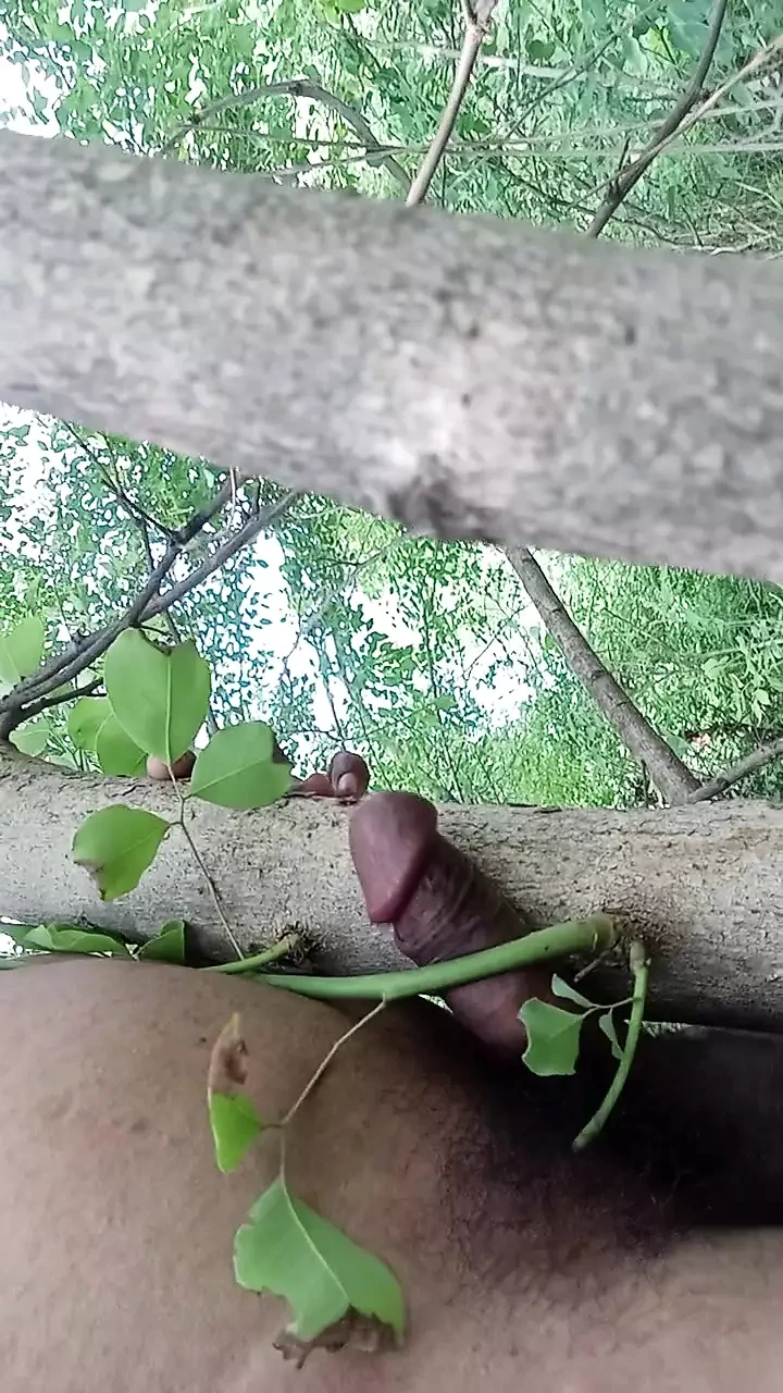 Sex with Trees