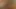 Doppelte Spielzeug-Penetration & magicwand Masturbation mit Lutschen