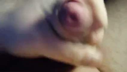 Wichsvideosu