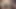 Bir travestinin inanılmaz bir pornosu üniversite odası dersi sırasında tatlı kasesine fışkırtarak sikişiyor!