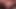 Sexy Pink Haired Trap Throats Big Purple Dildo