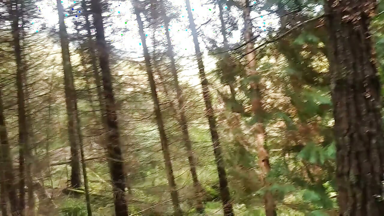 Hiker Takes Out His Dick Looking for Mushroomsand Unloads Semen in One of Them