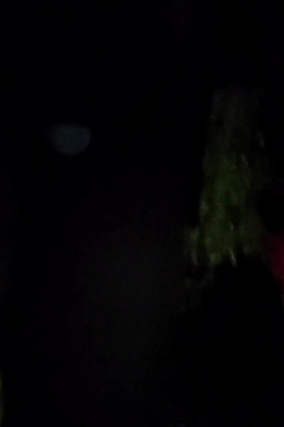 娘娘腔变装者在外面走动, 她的屁股里有一个振动器, 还有一个微型贞操笼