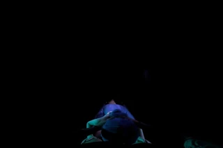 Blue Marin 2 (lapdance)