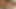 HelloLadyBoy Back & Forth Cock Sucking Fest