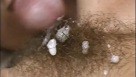 A Pussy Spine Pig