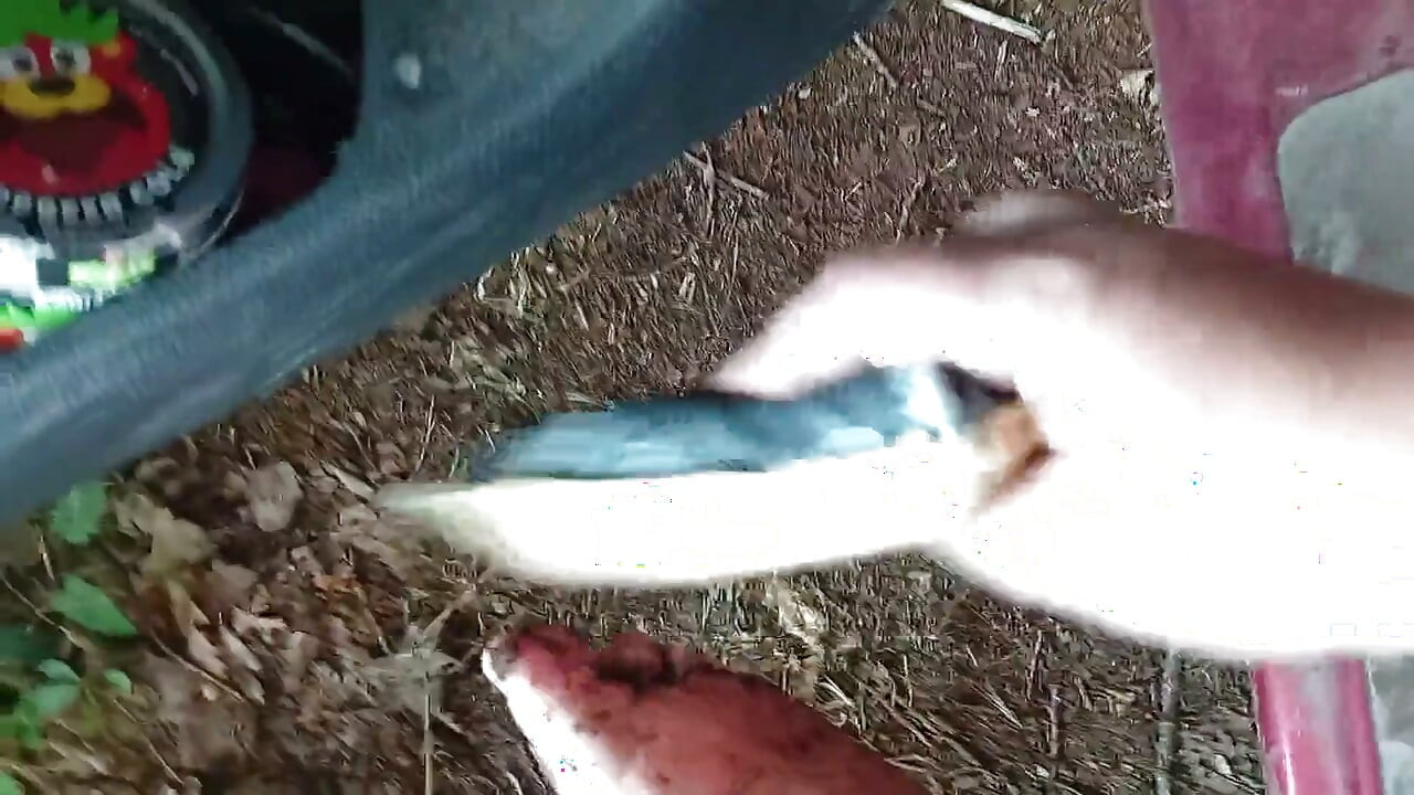 Dirty Feet Outside