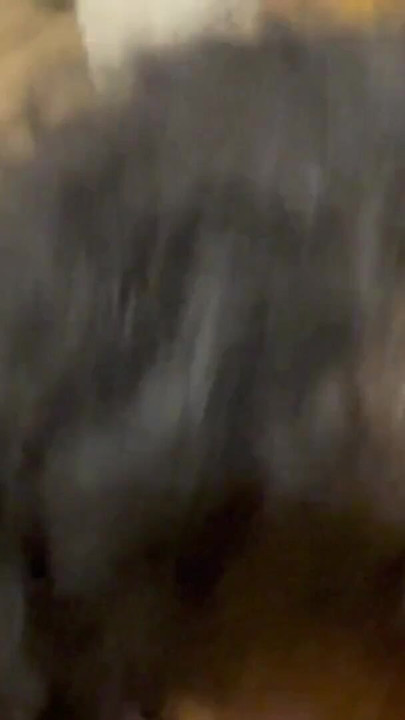 Stiefschweine versehentlich von stiefbrud gefickt | Clip 2