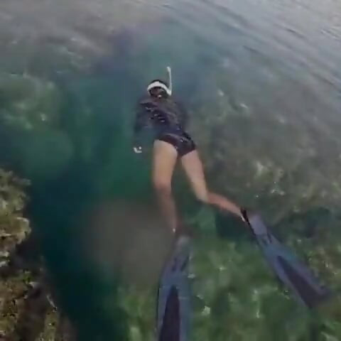 Ima Mermaid
