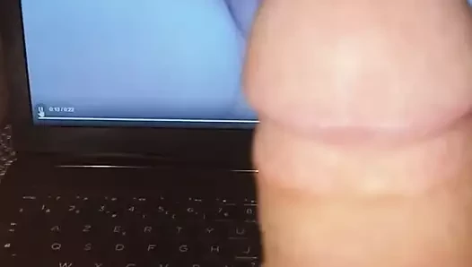 Adanmış eğlencesi