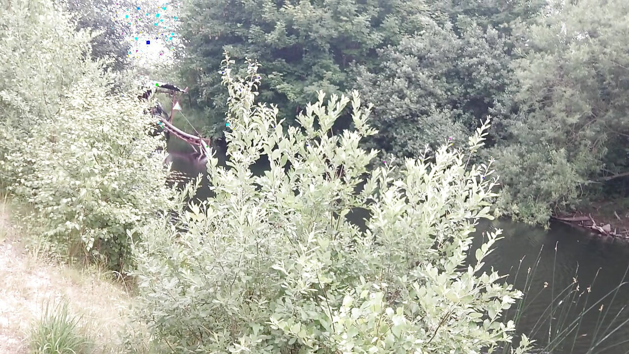 فتى العفة المشاغب النشوة الشرجية اليائسة