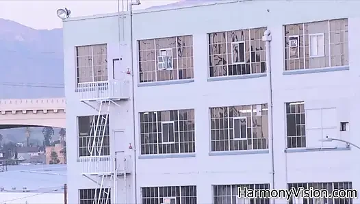 Doğal göğüslü at kuyruklu esmer büyük yarağa biniyor