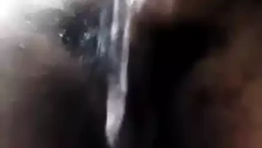Sri lankalı horoz oyun