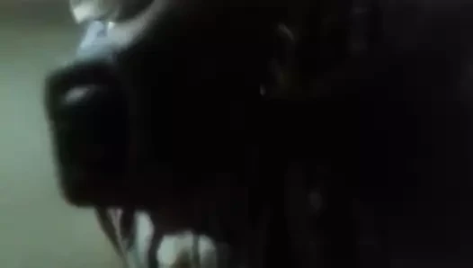 Yarağım