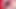 Naughty Lily Carter Loves To Play With Her Wet Pussy And
