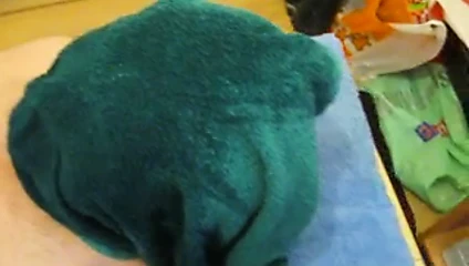 su işkencesi